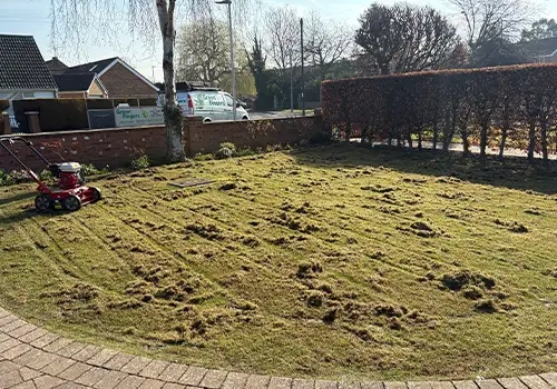 Aeration For Lawns