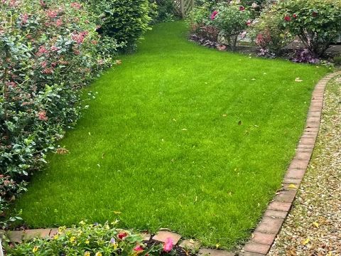 Lawn Care Hull